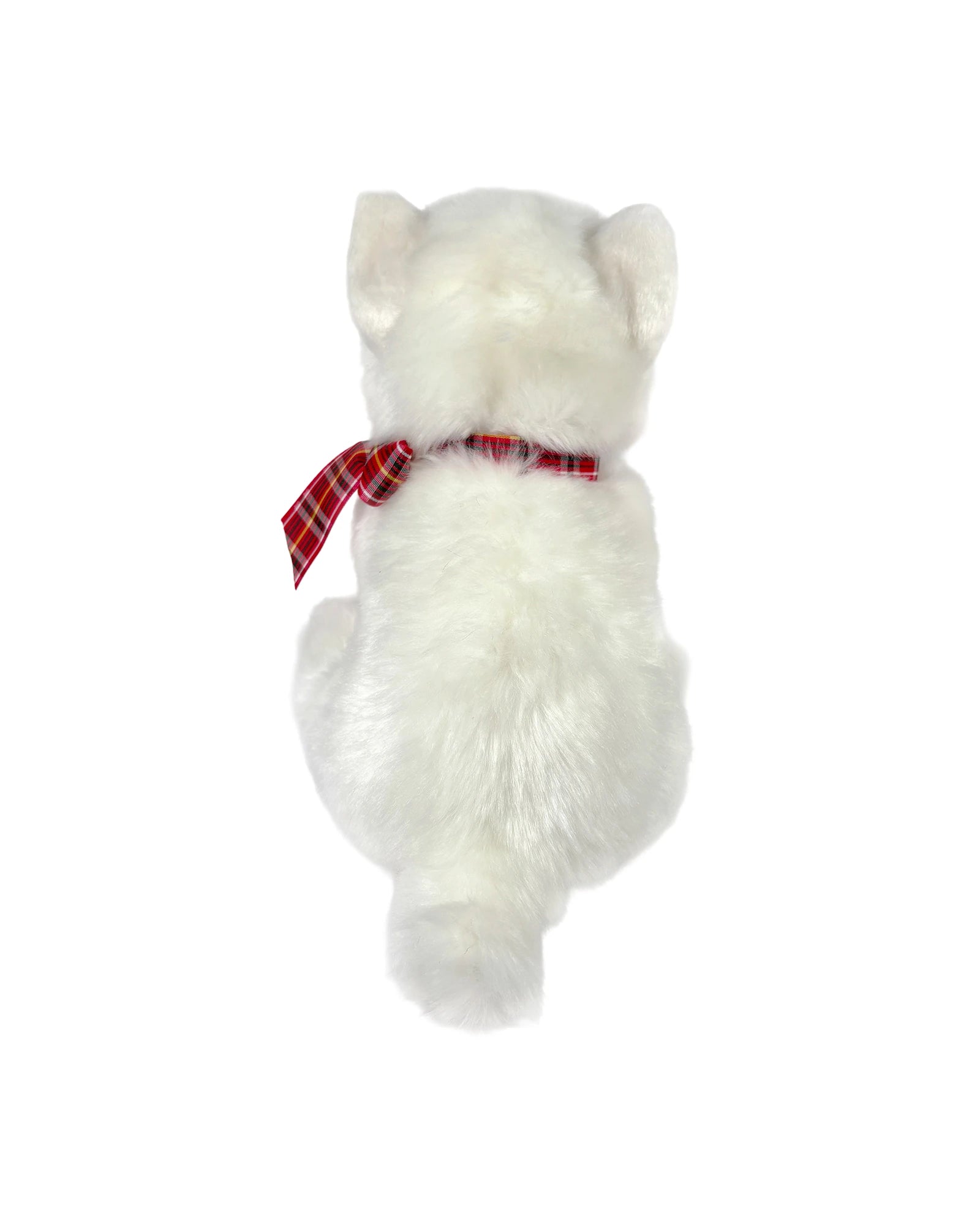 Hamish West Highland Terrier