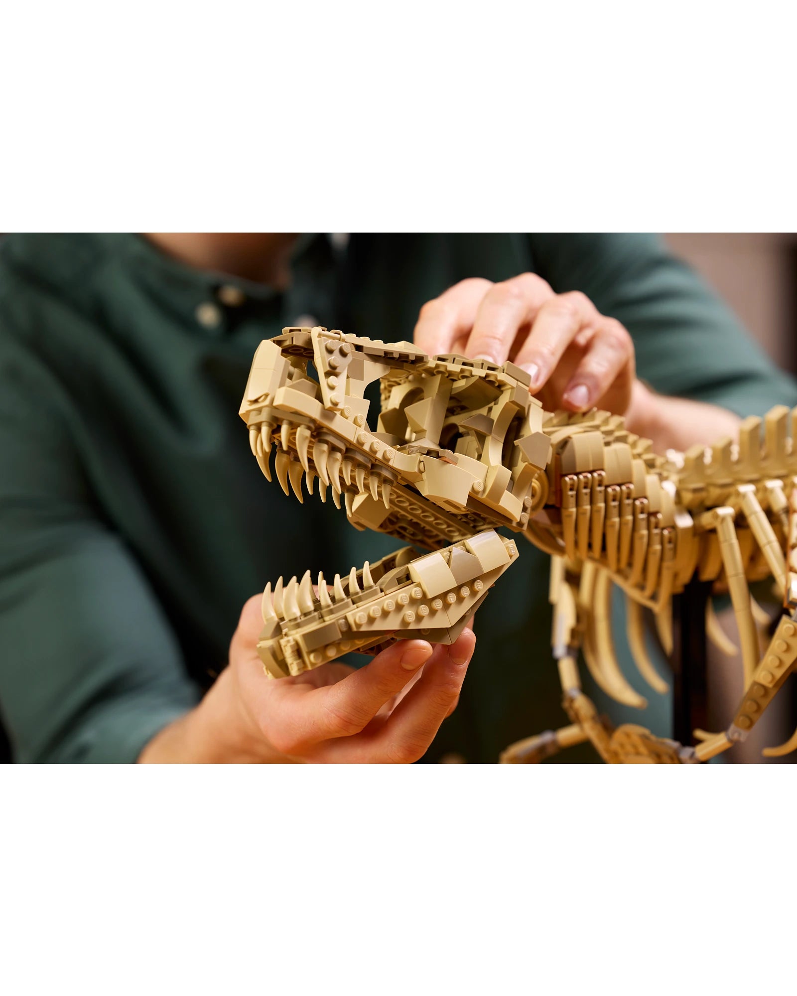76968 Dinosaur Fossils: Tyrannosaurus rex