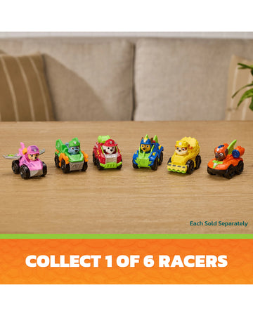 PAW Patrol The Dino Movie Pup Squad Racer Asst