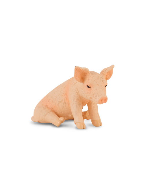 Collecta Piglet Sitting Small