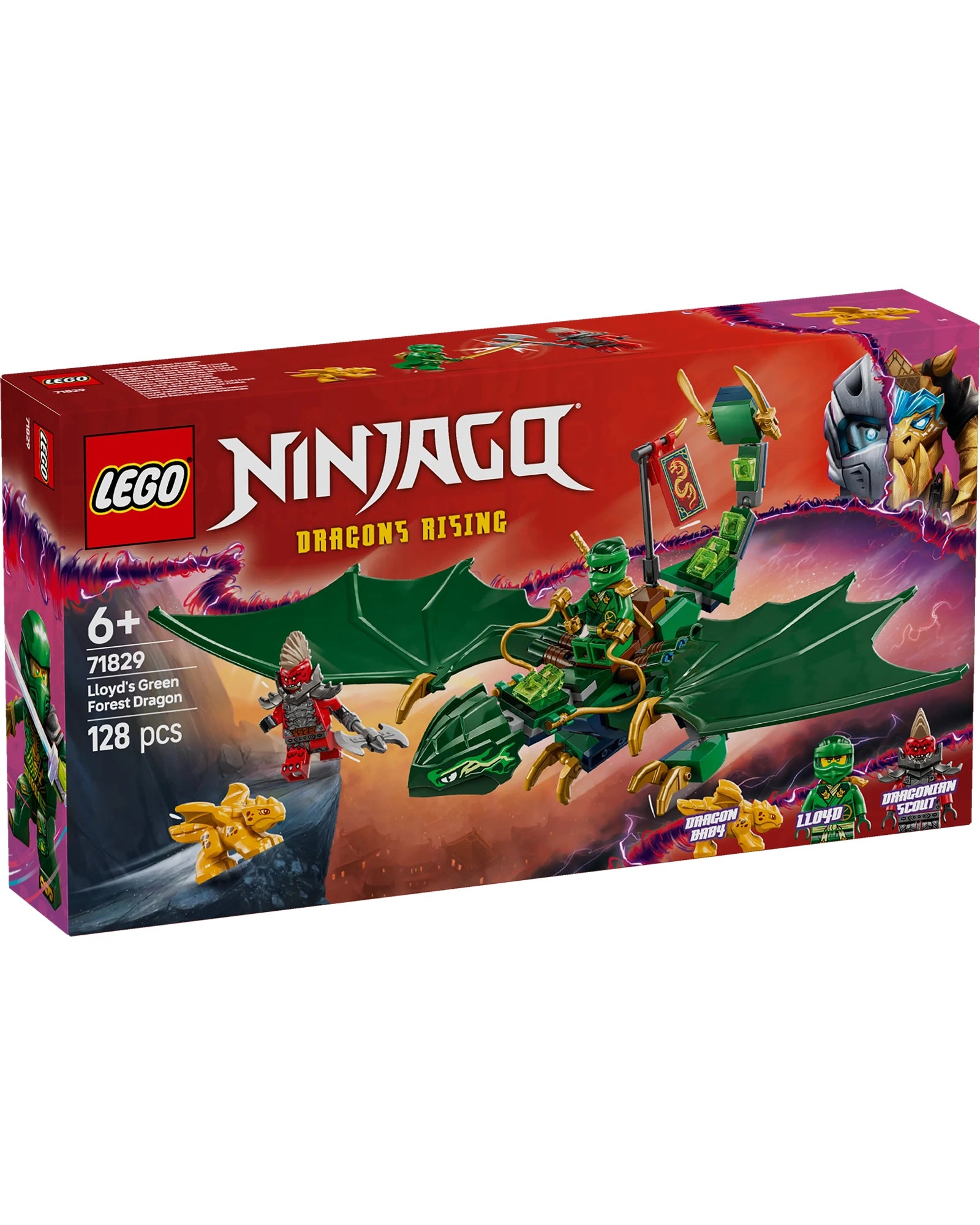 71829 Lloyds Green Forest Dragon