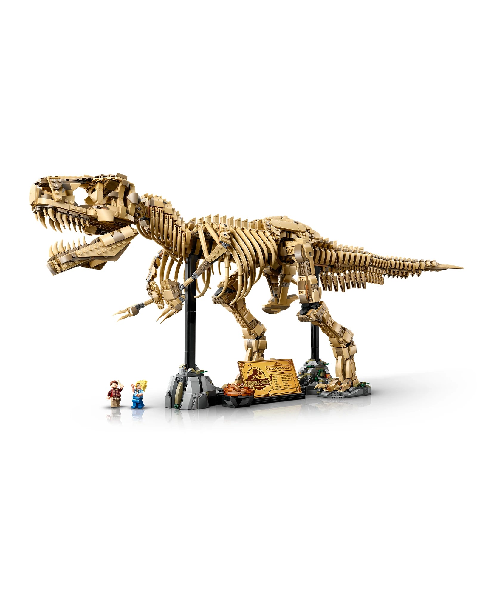 76968 Dinosaur Fossils: Tyrannosaurus rex