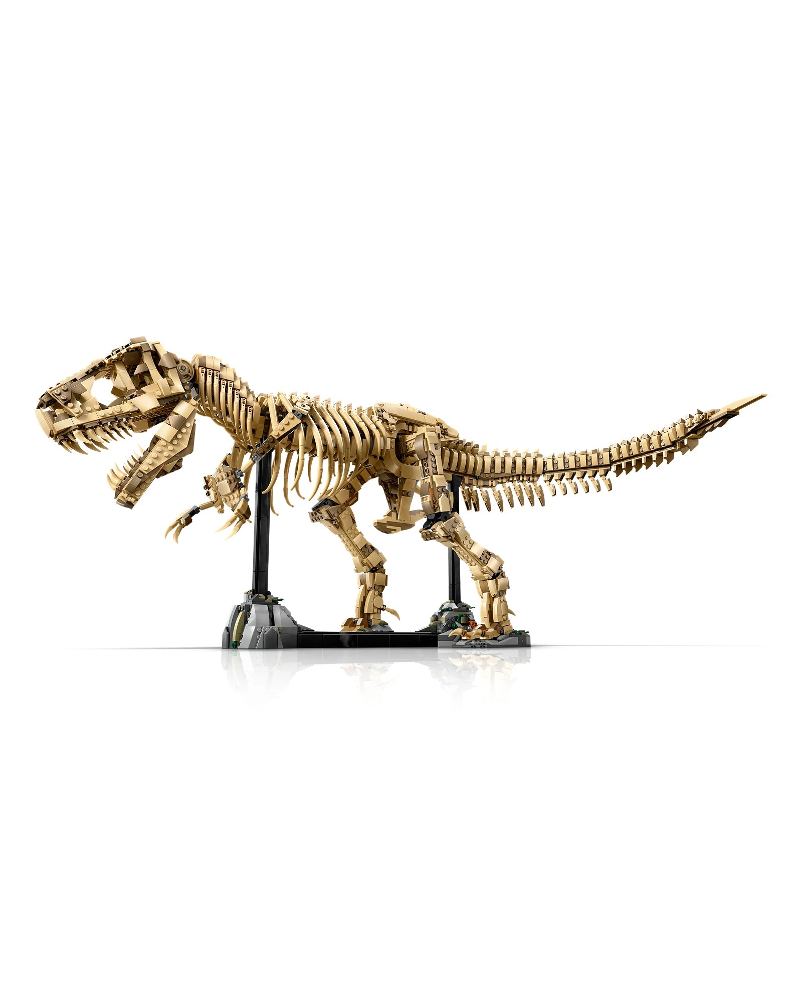 76968 Dinosaur Fossils: Tyrannosaurus rex