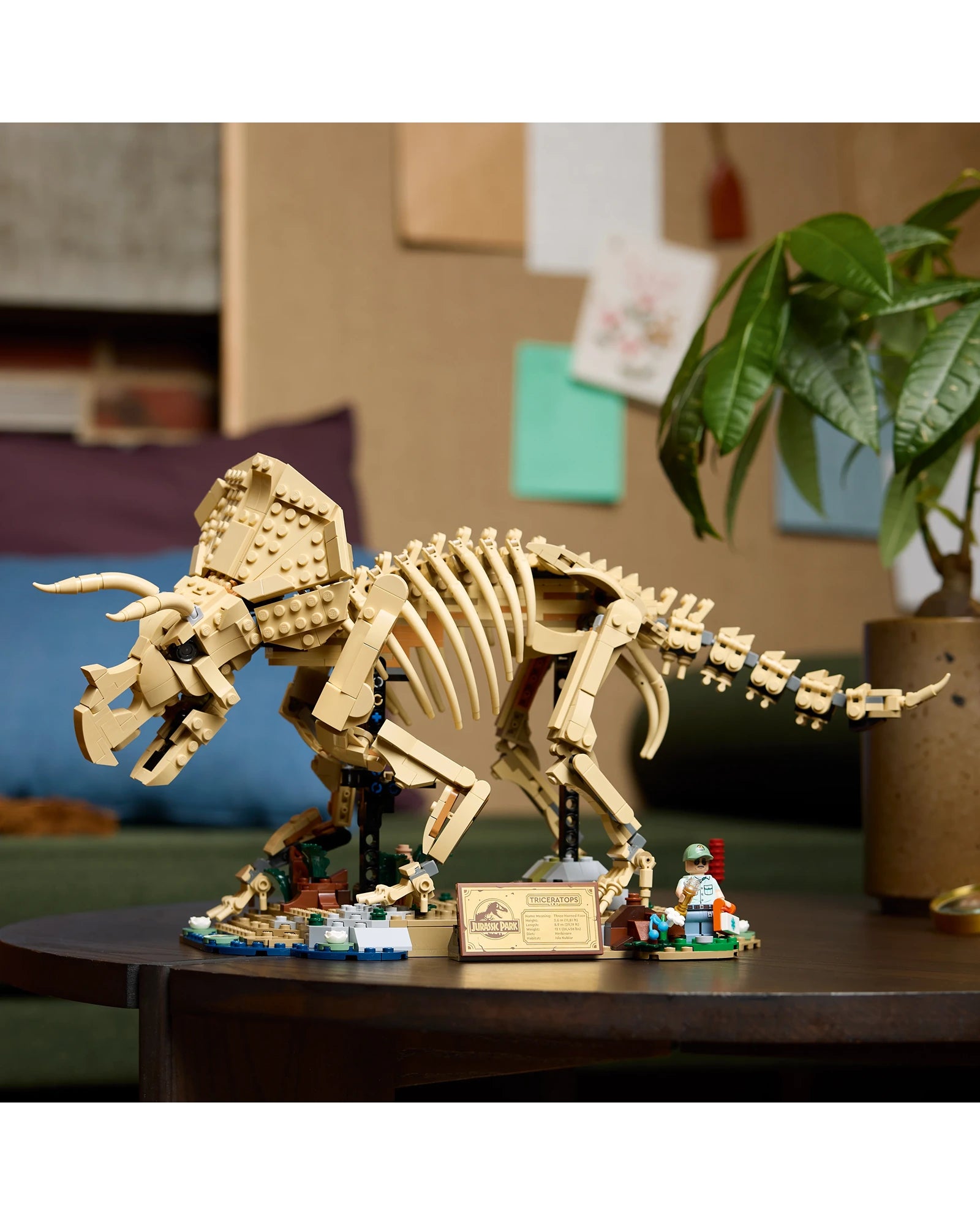 77985 Dinosaur Fossils: Triceratops