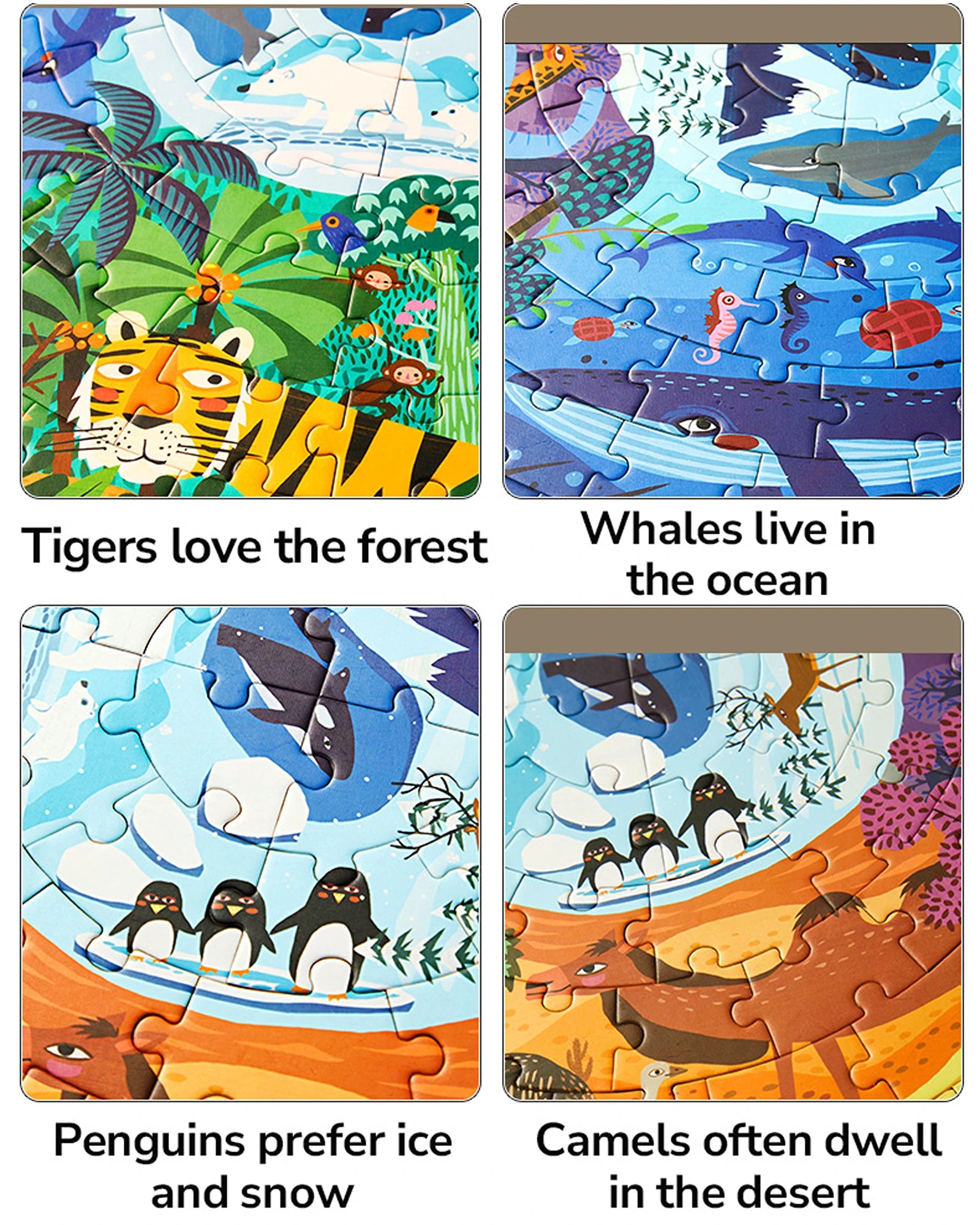 mideer Panoramic Puzzle - Animals around the World