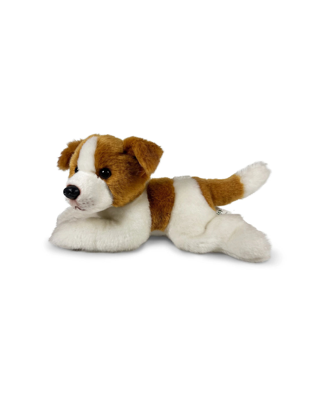 Animal Allsorts - Jessie Jack Russel