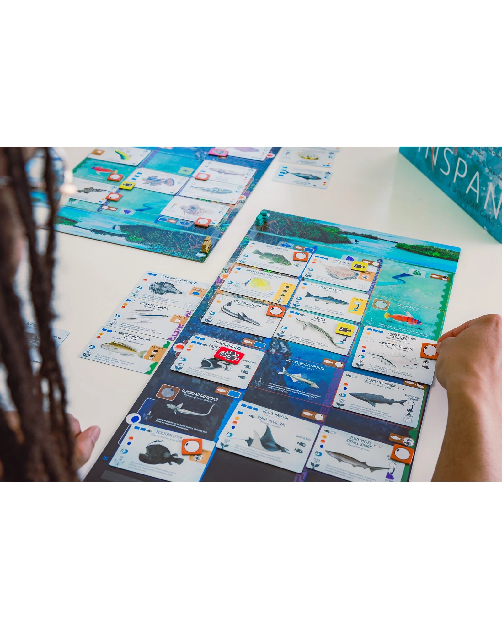 Finspan