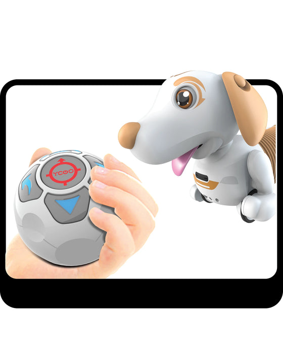 Silverlit Robo Dash D - Assorted