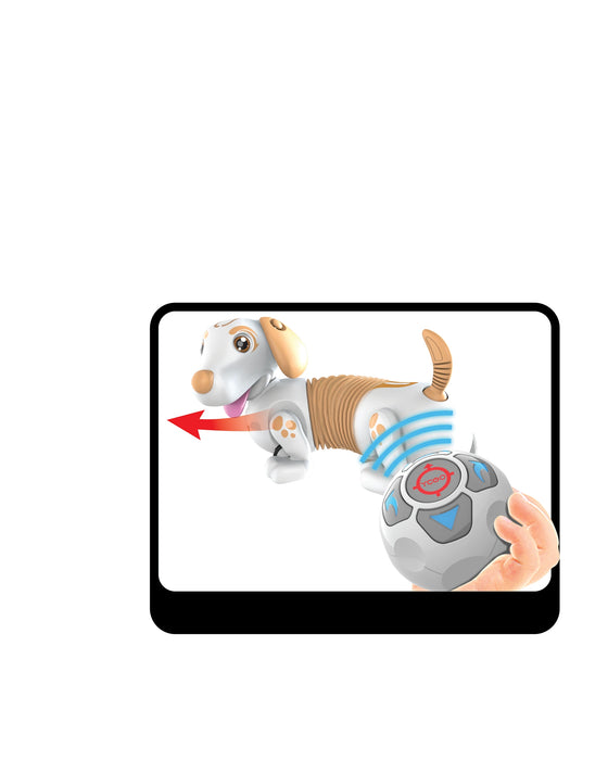 Silverlit Robo Dash D - Assorted