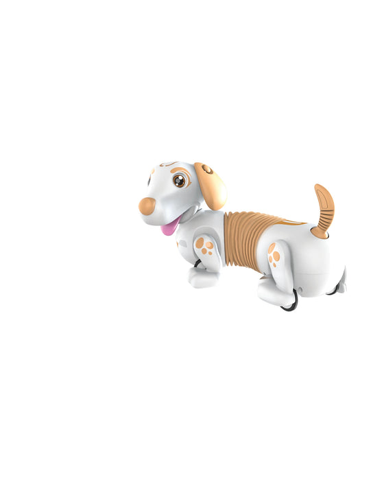 Silverlit Robo Dash D - Assorted