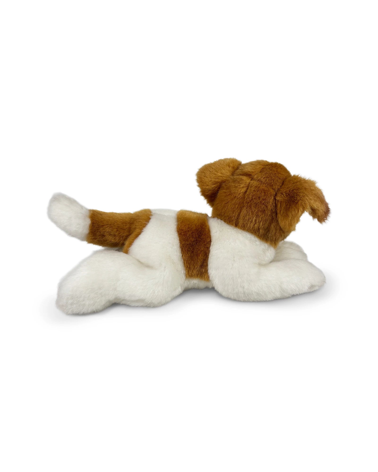 Animal Allsorts - Jessie Jack Russel