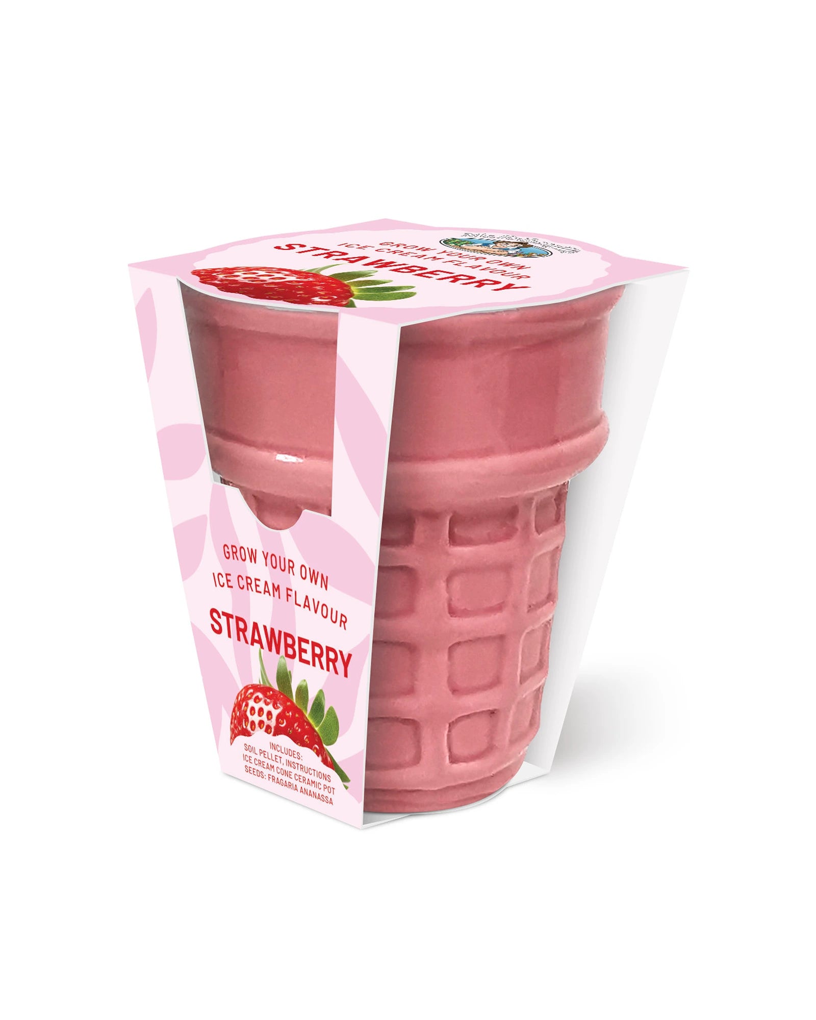 Ice Cream Cone Grow Kit Strawberry - Pink