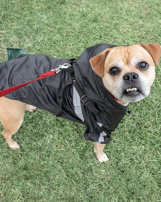 Louie Living Black Raincoat Small