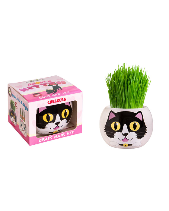 Grass Hair Kit Kitten Checkers