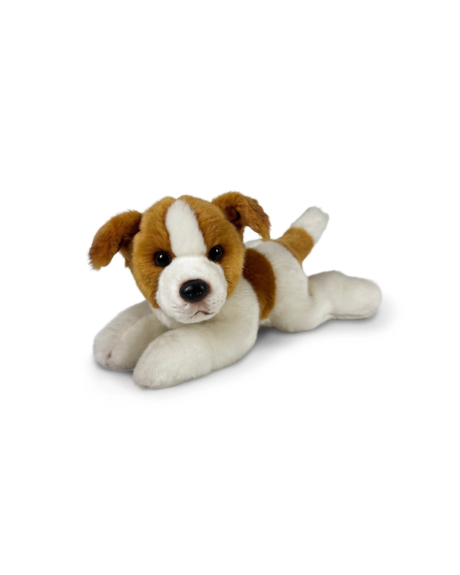 Animal Allsorts - Jessie Jack Russel