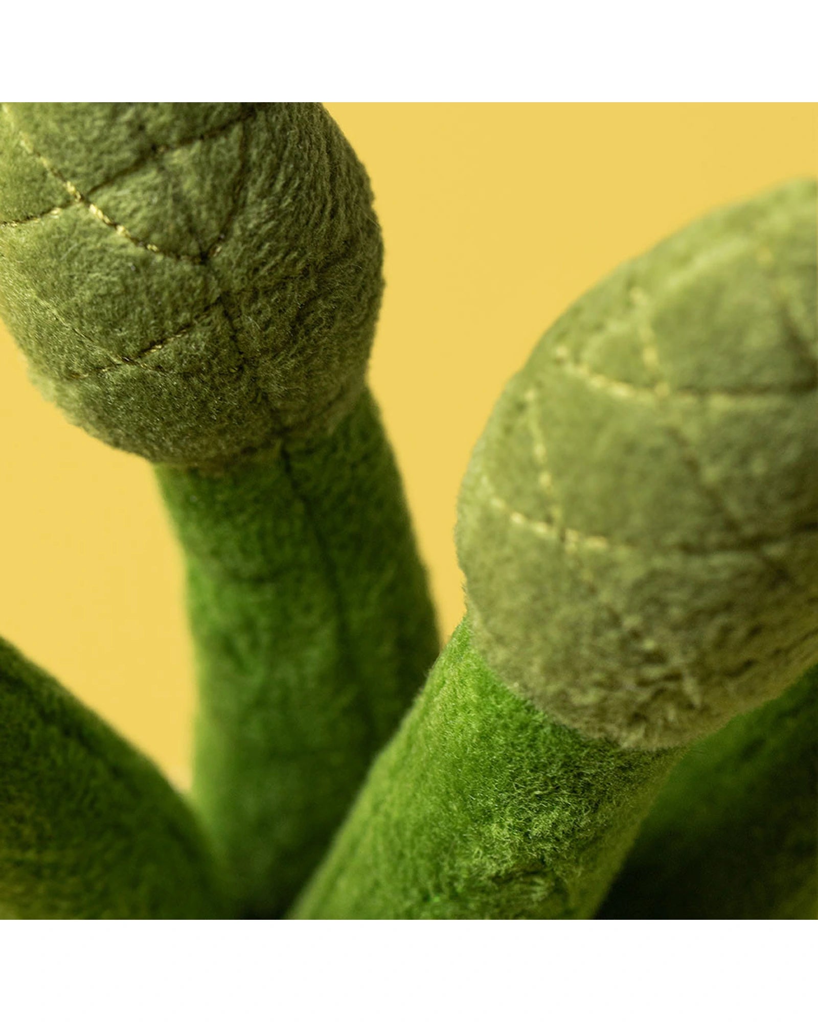 Amuseables Asparagus