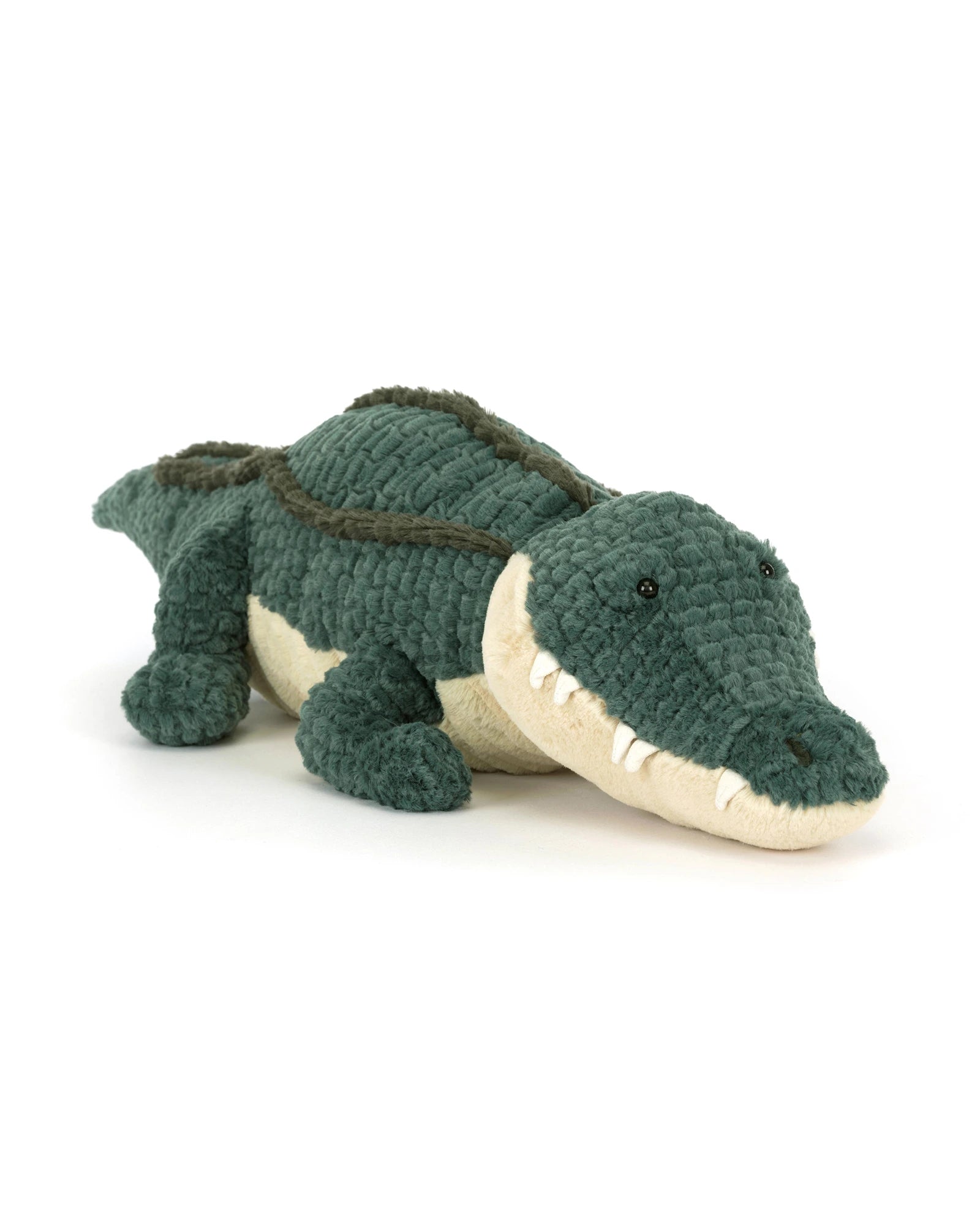 Allexi Alligator