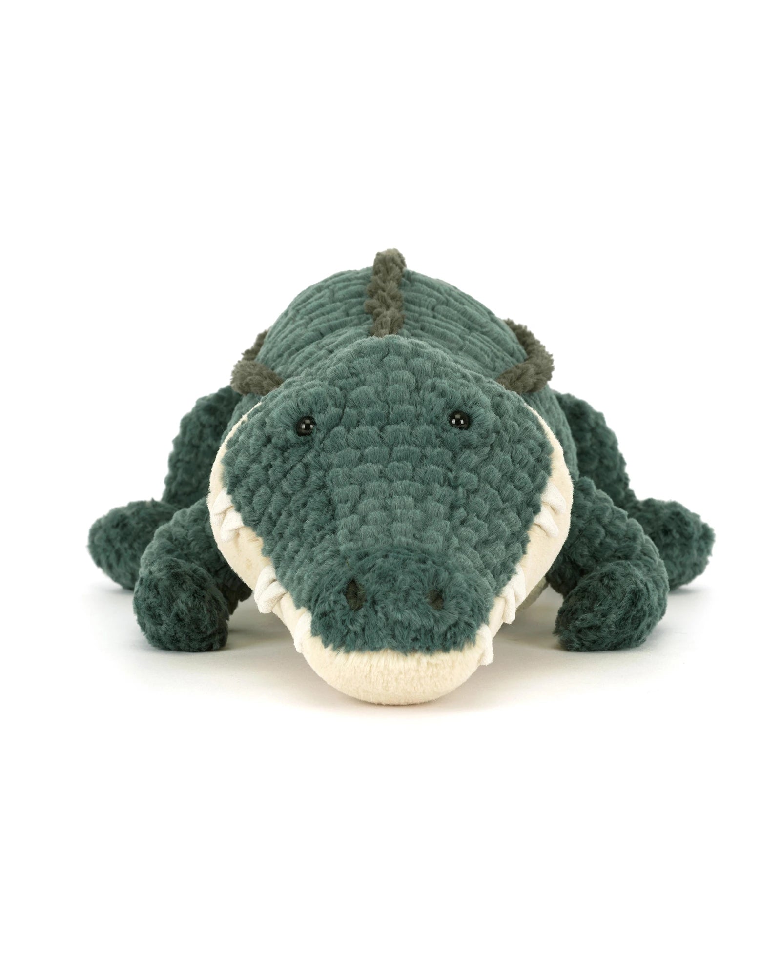 Allexi Alligator