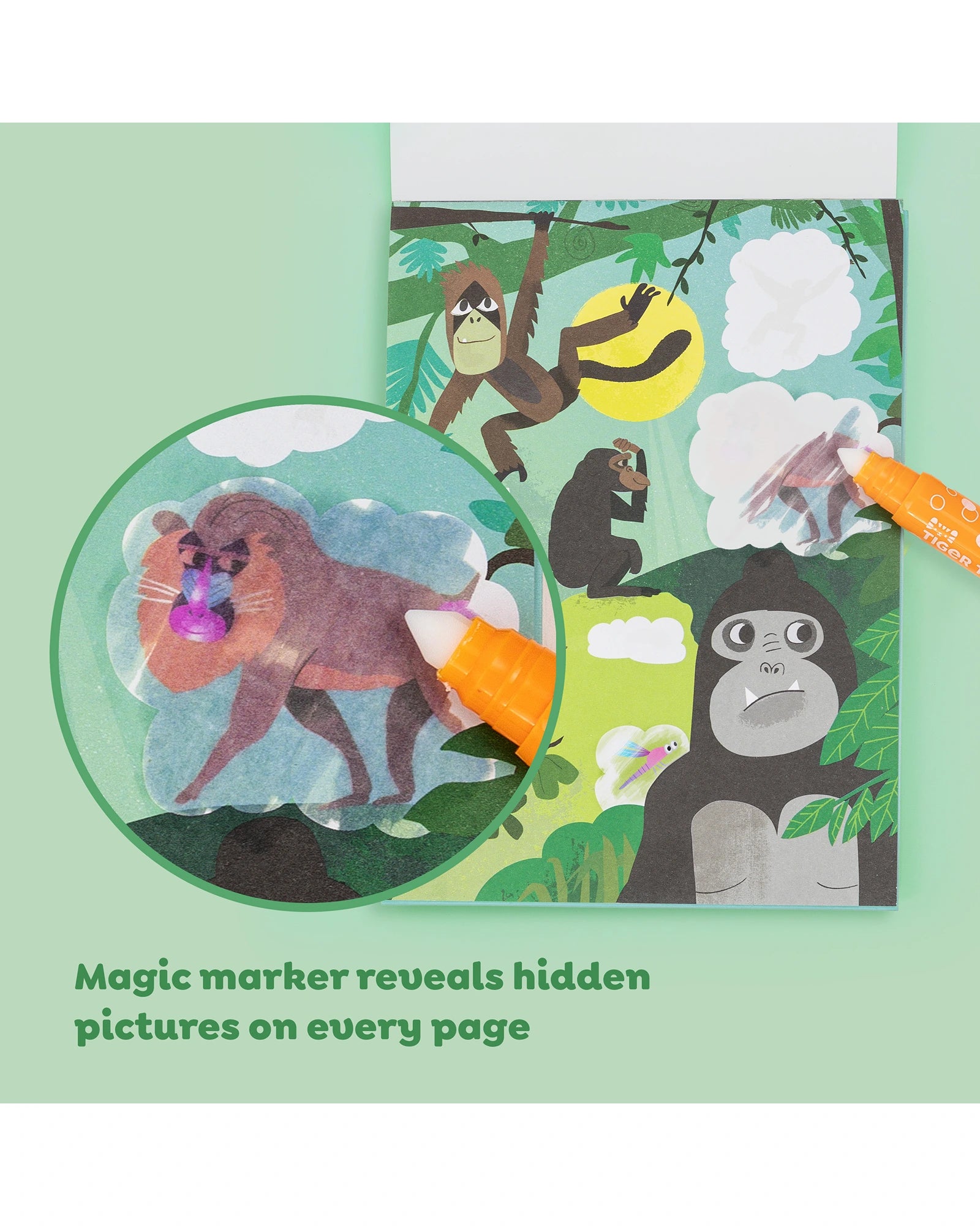 Colour Surprise - Zoo Adventures