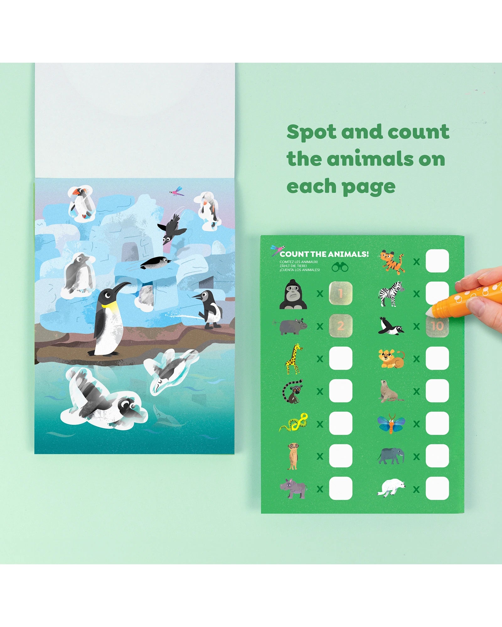Colour Surprise - Zoo Adventures