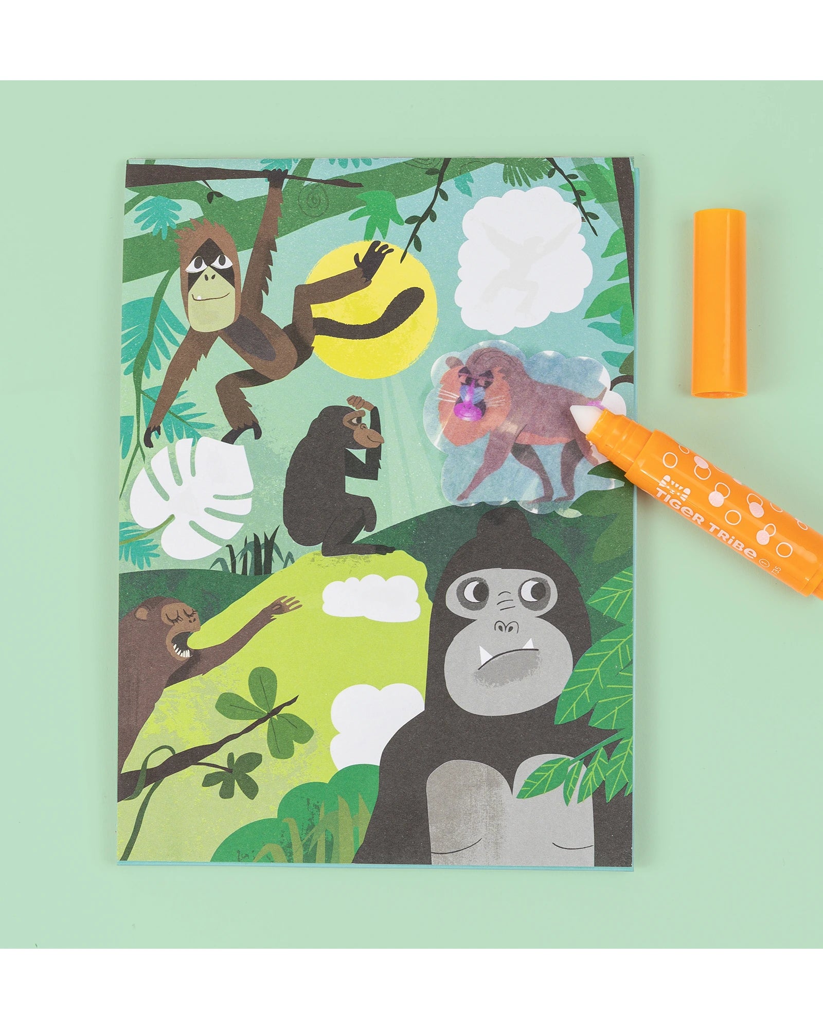Colour Surprise - Zoo Adventures