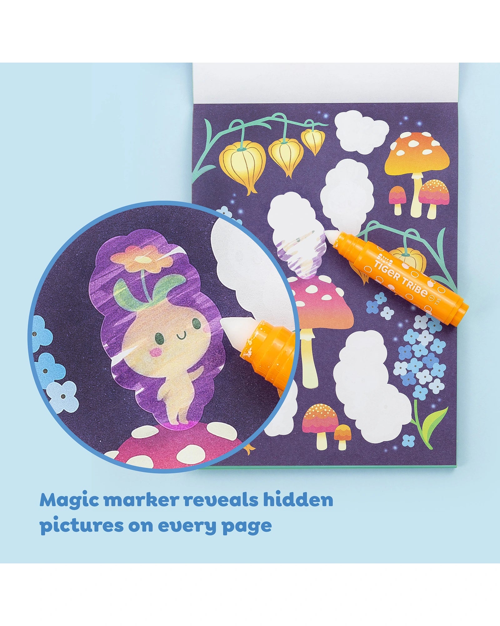 Colour Surprise - Fairy Magic