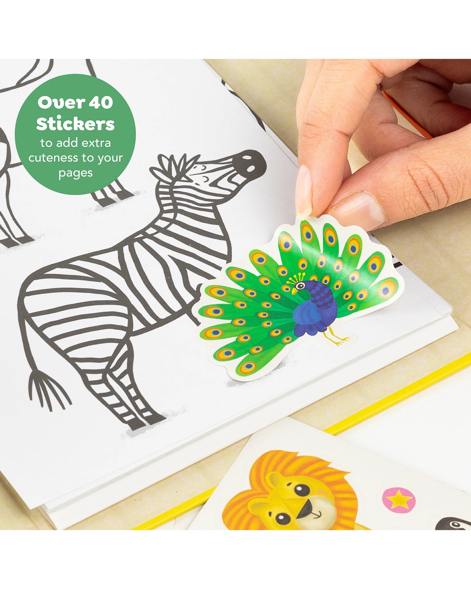 Colouring Set - Zoo