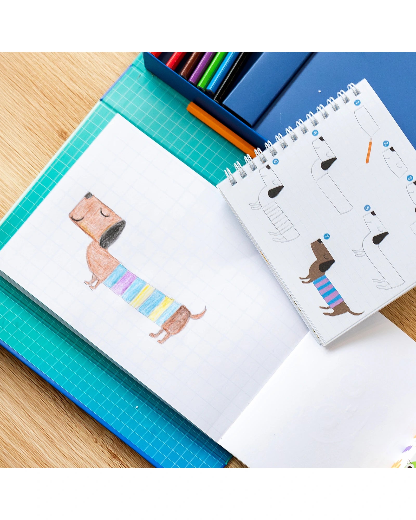 How To Draw - Animals