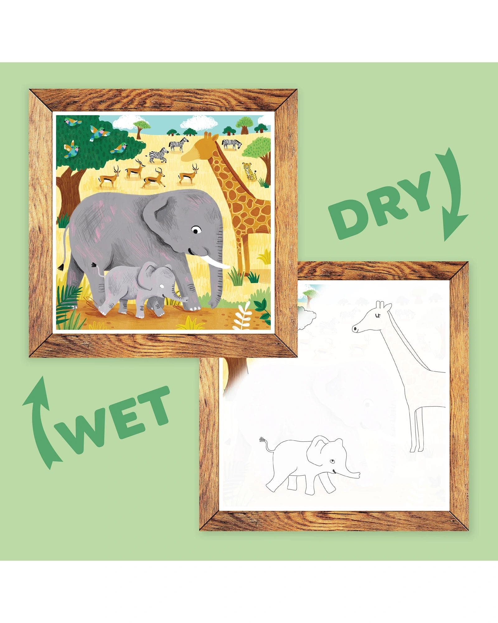 Magic Painting World - Safari Adventures