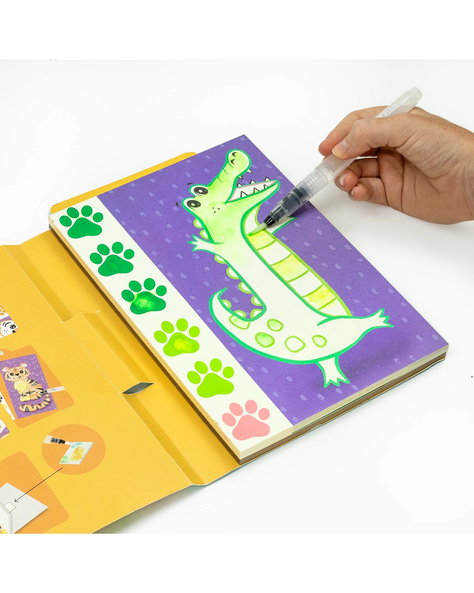 Paint A Picture - Wild Animals