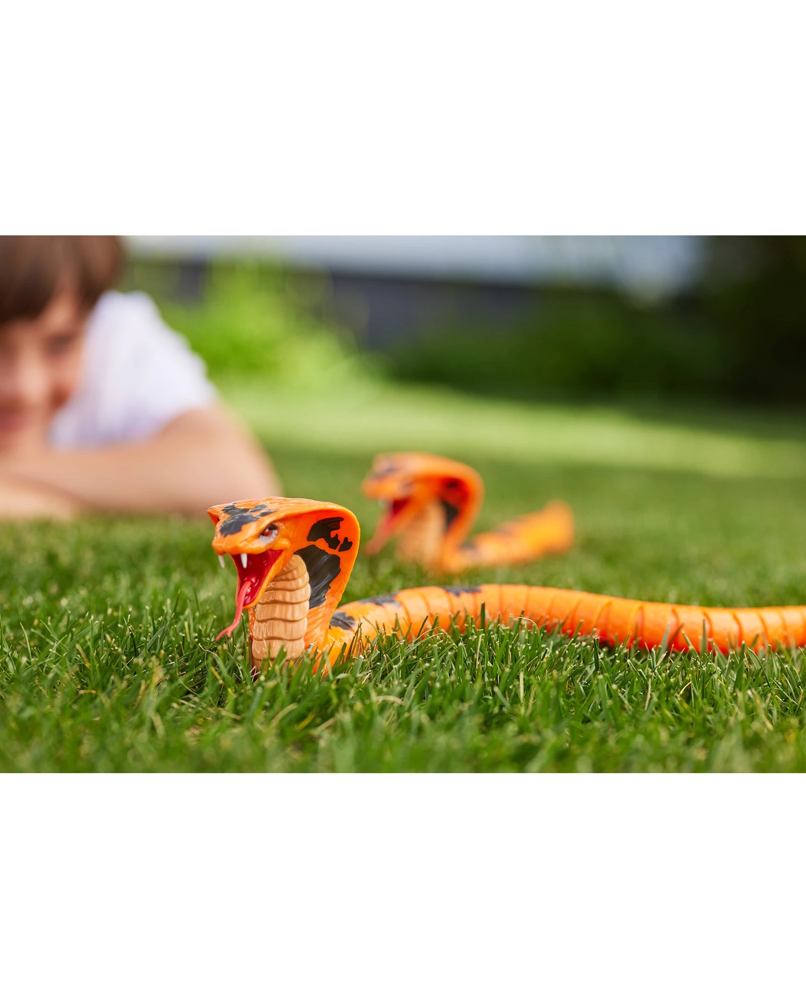 Robo Alive Cobra Asst