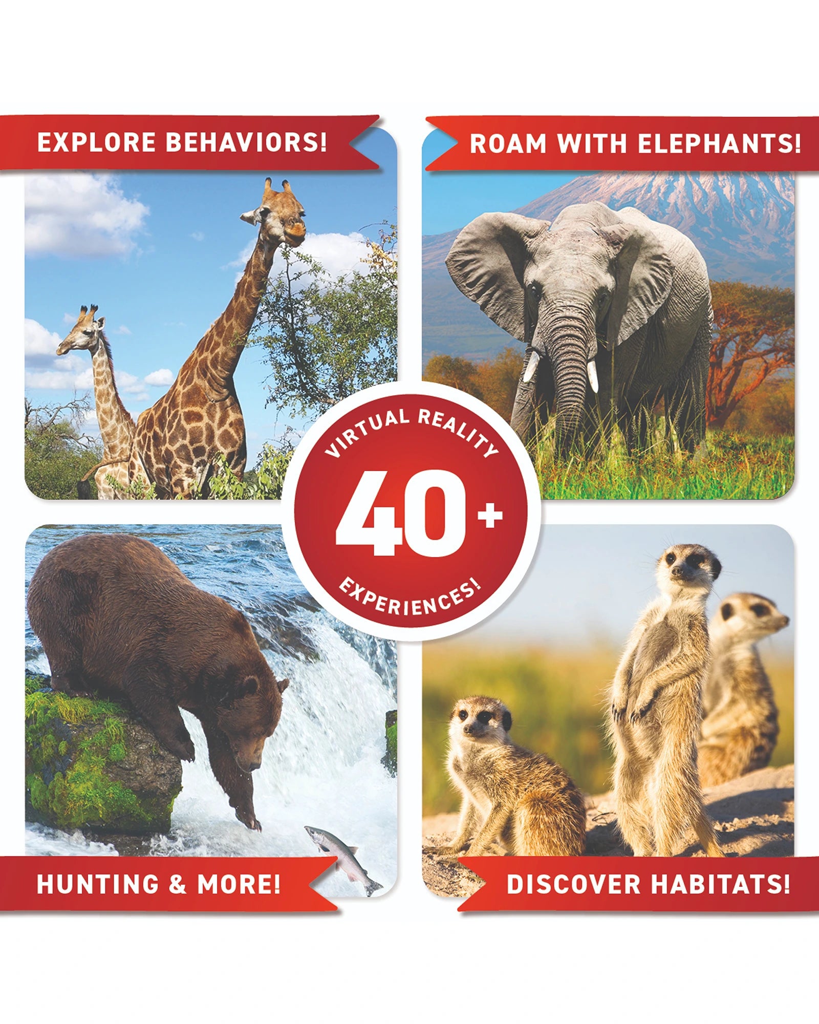 VR Gift Box Animals!
