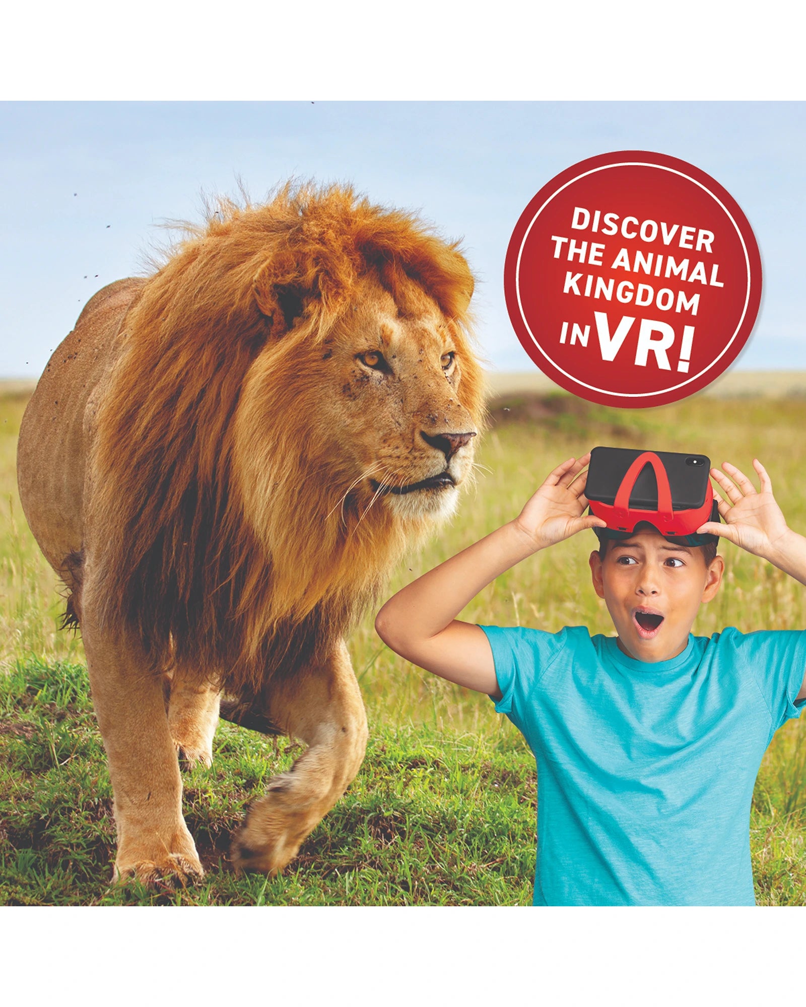 VR Gift Box Animals!