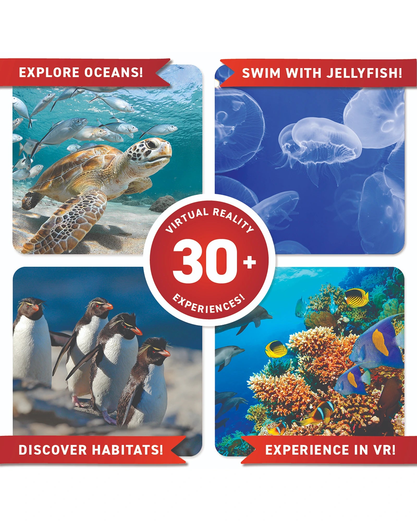 VR Gift Box Oceans!