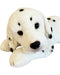 Animal Allsorts Frankie Dalmation Large