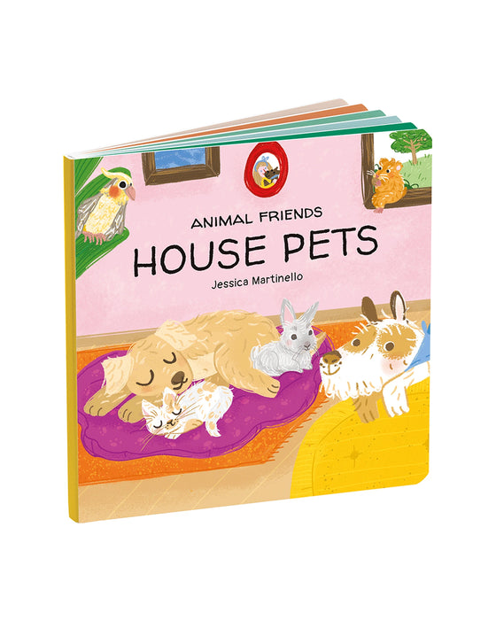 Sassi Games House Pets