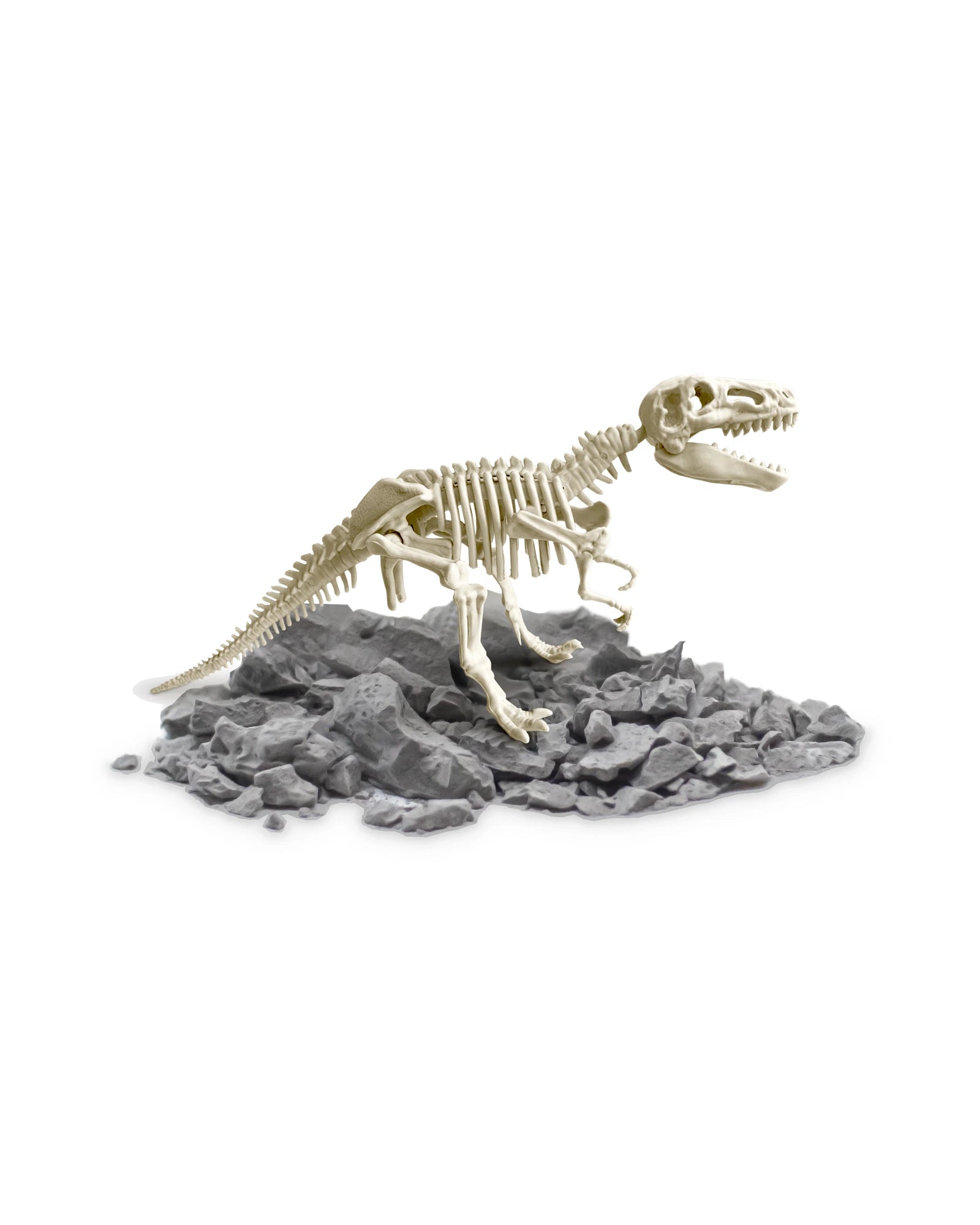 VR Gift Box Dinosaurs!