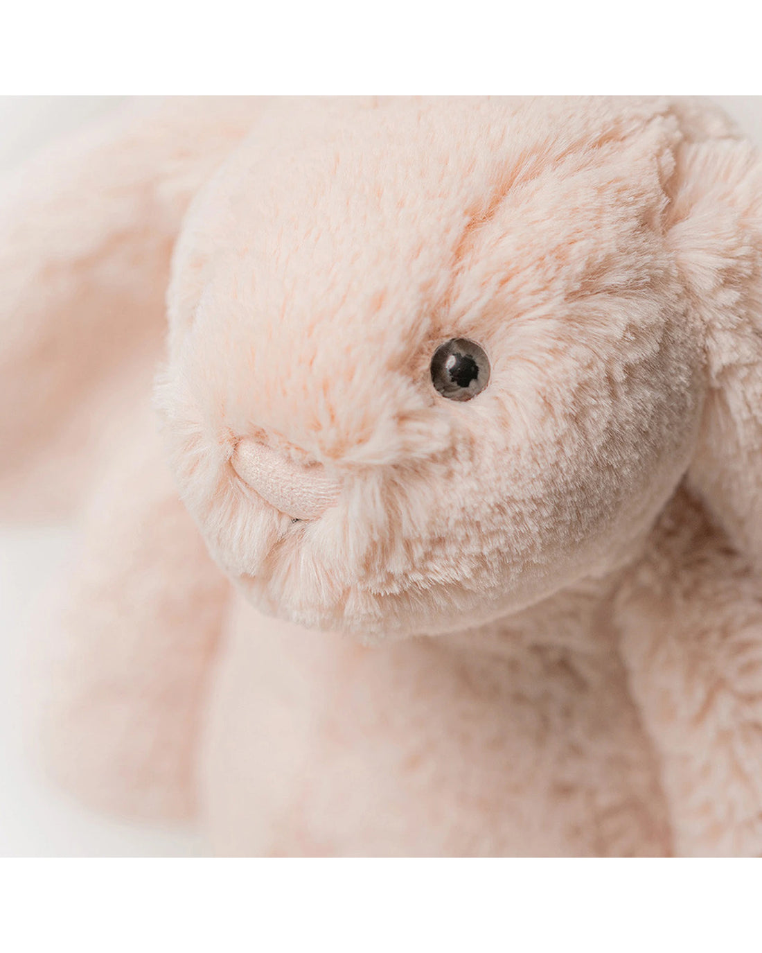 Bashful Blush Bunny Original