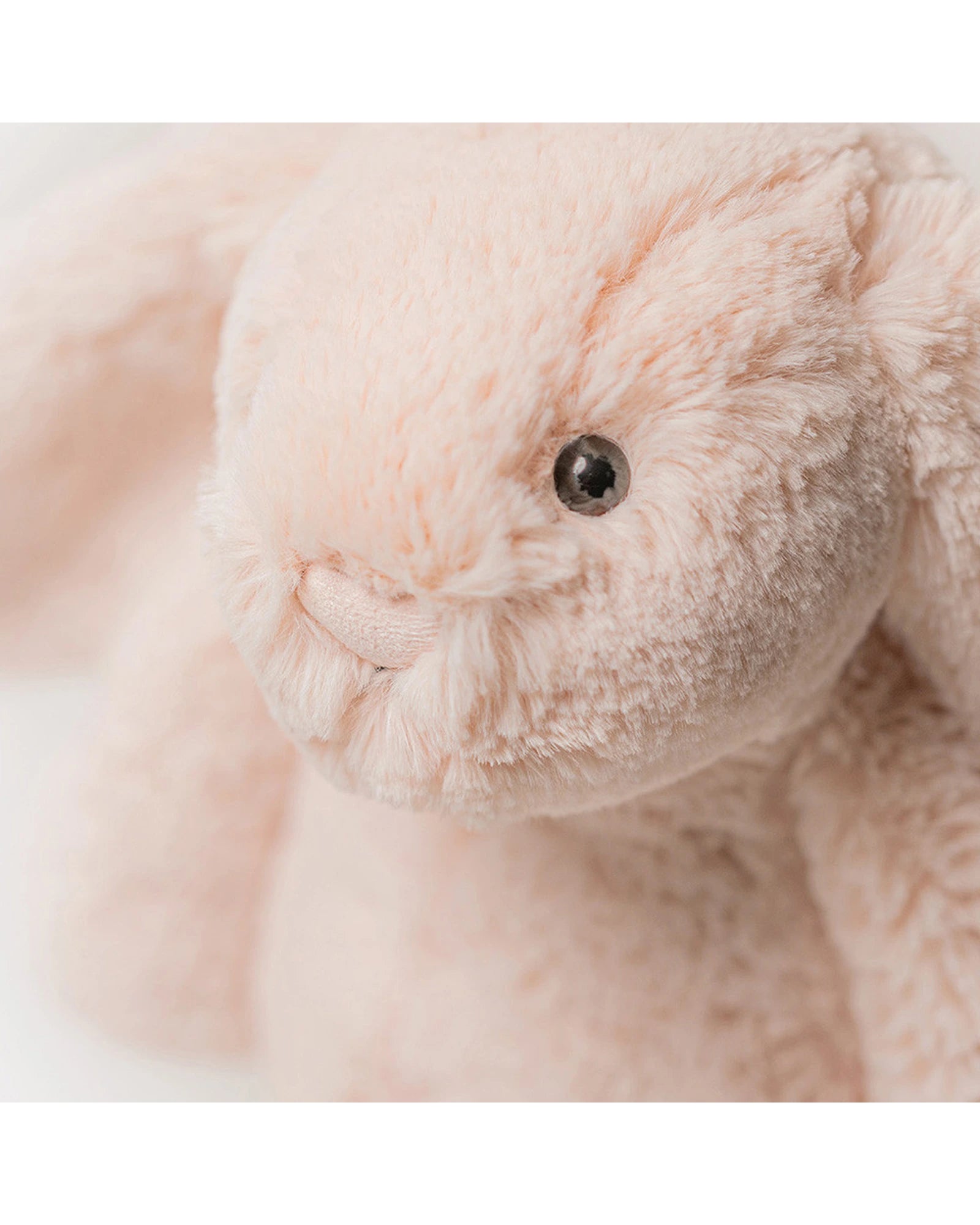 Bashful Blush Bunny Original