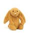 Bashful Golden Bunny Med