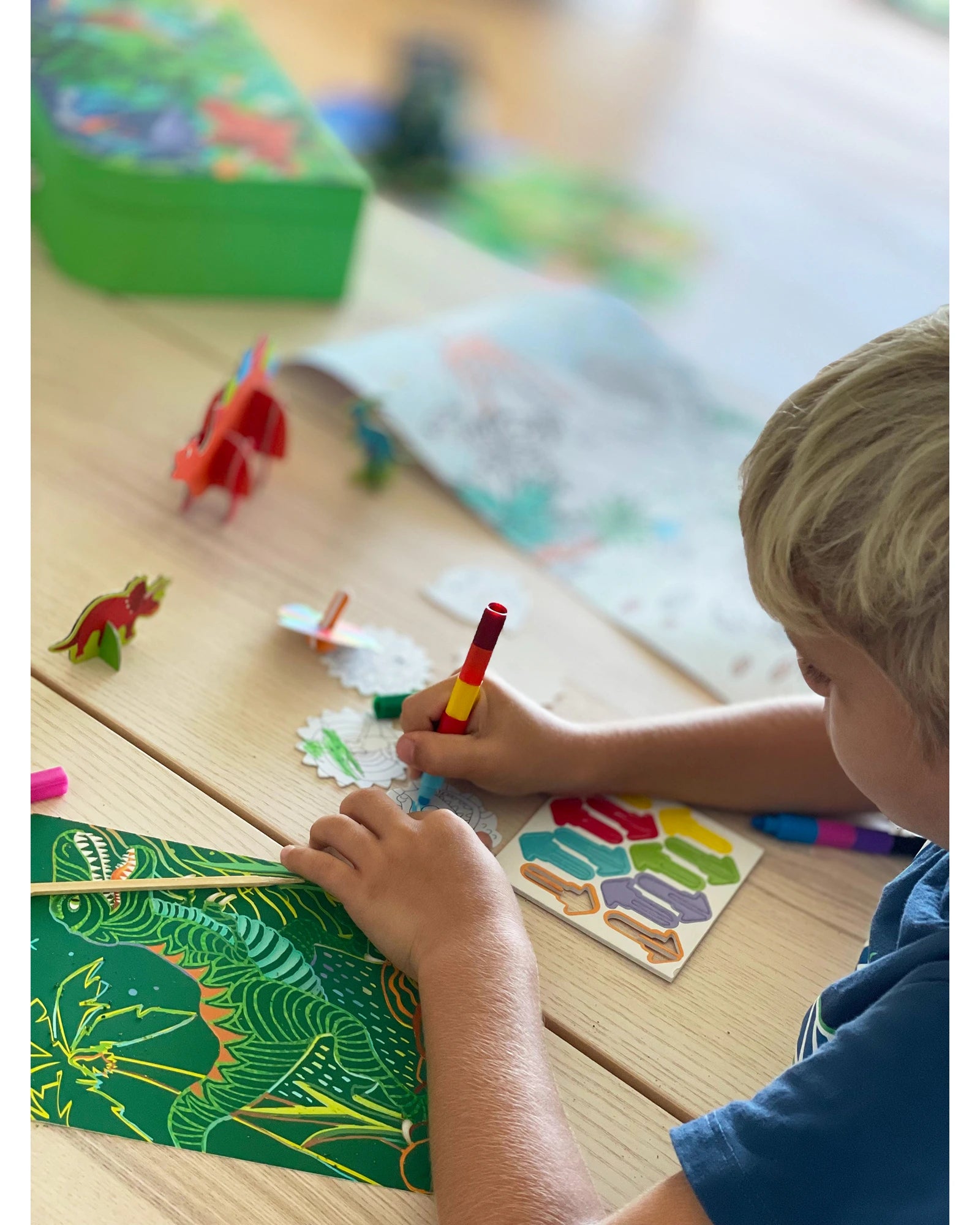 Dinosaur Activity Set