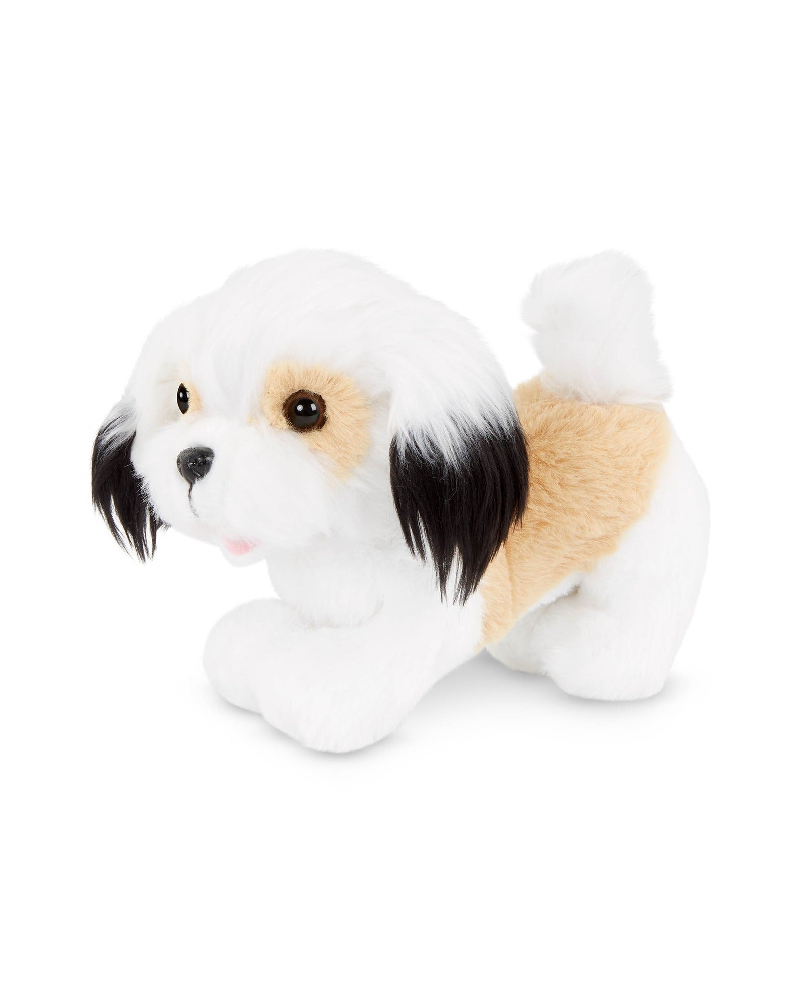 6 Inch Shih Tzu Pup with Spa Accessories