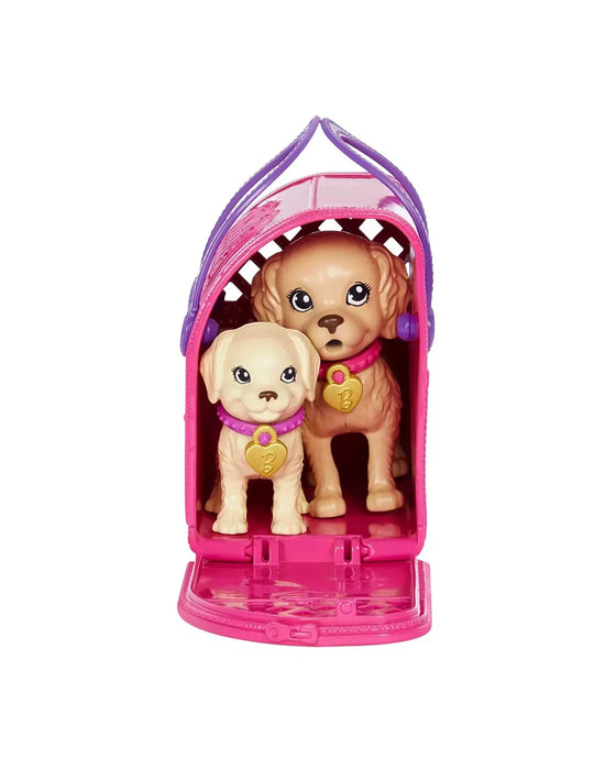 Barbie Pup Adoption Doll And Accessories