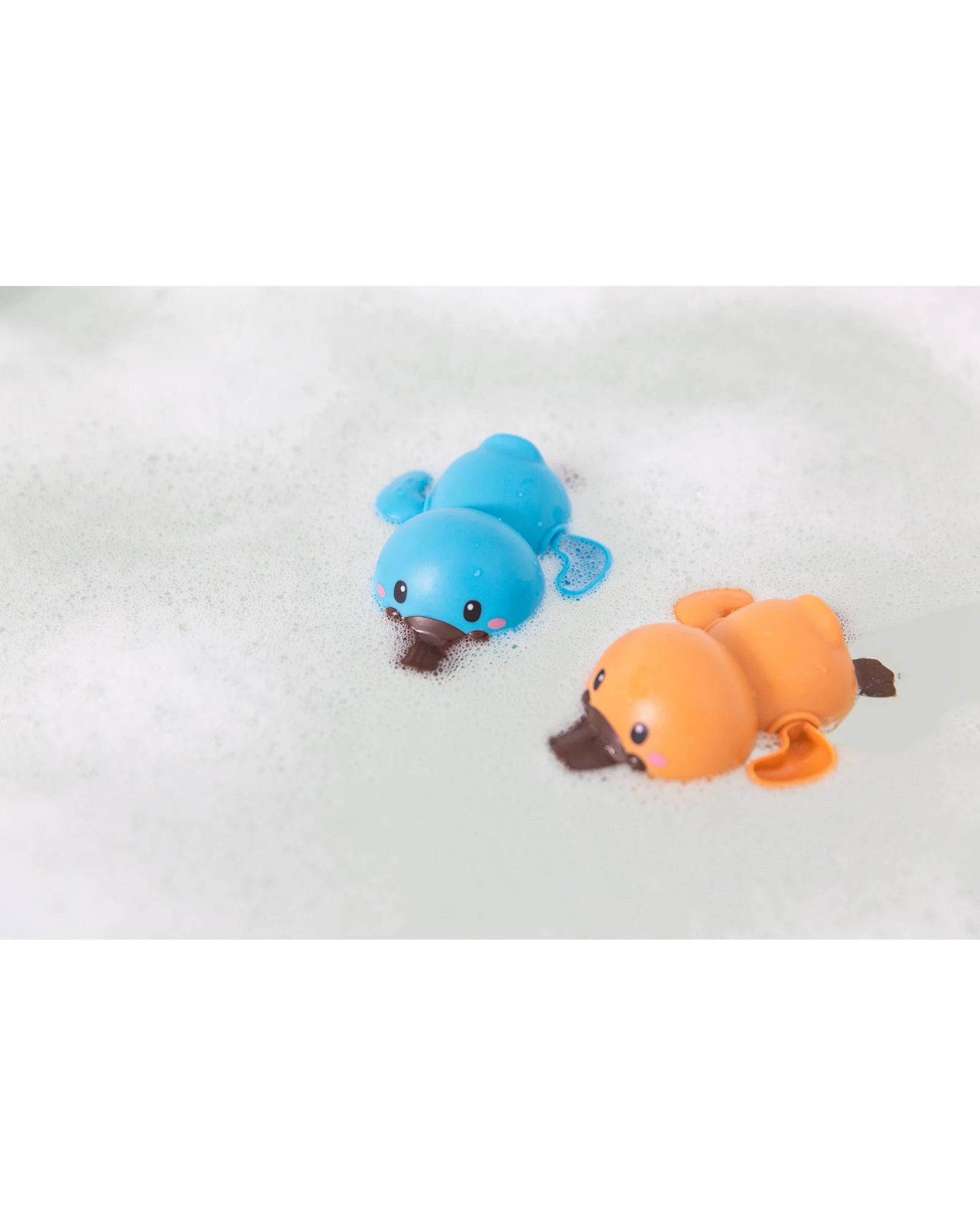 Bath Racers - Platypuses