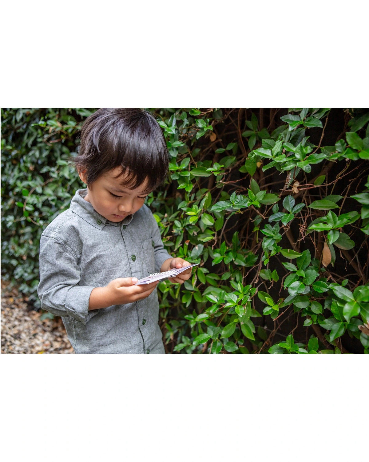 Insect Spotter Bug Spotter Kit – Kidstuff