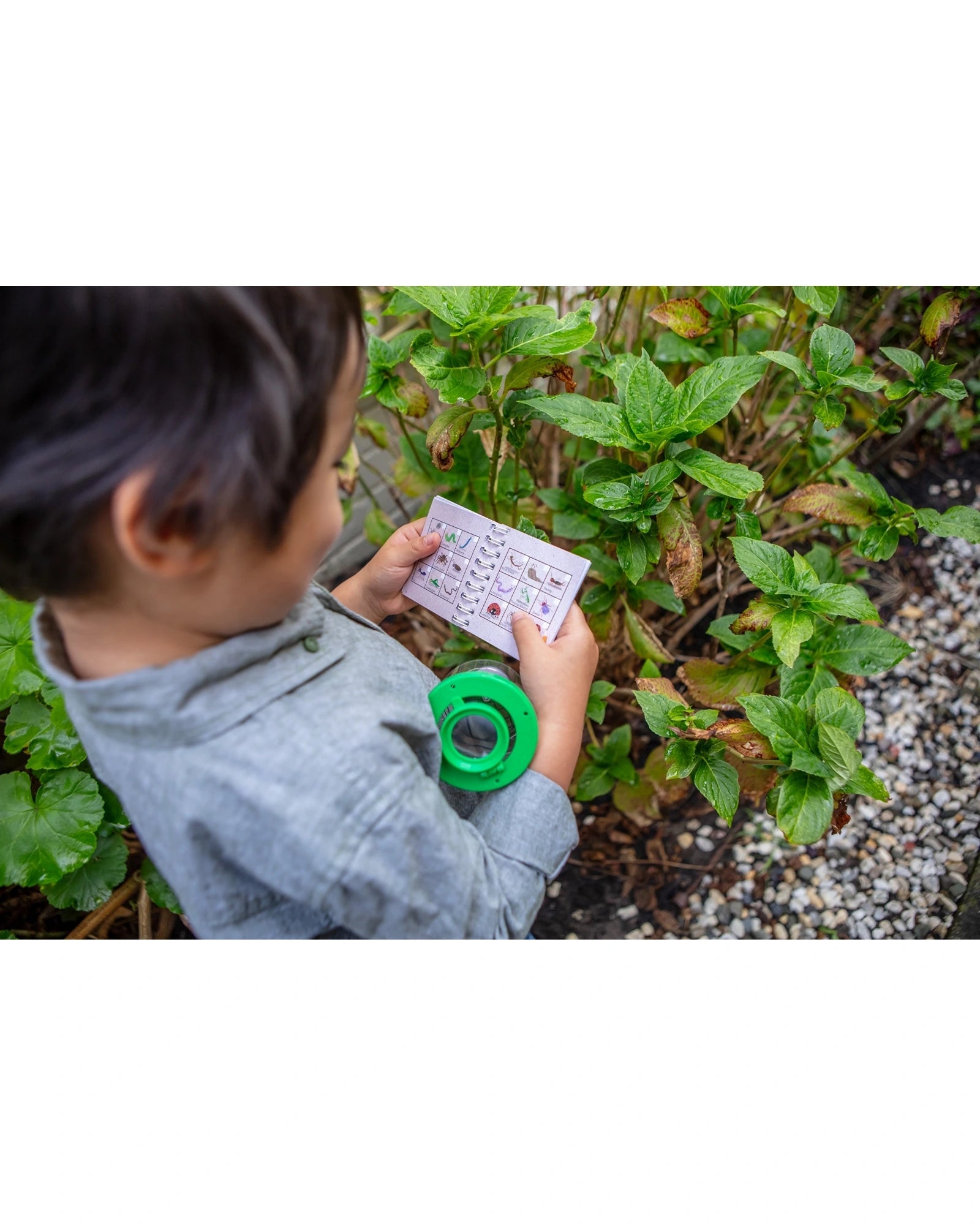 Bug Spotter Kit