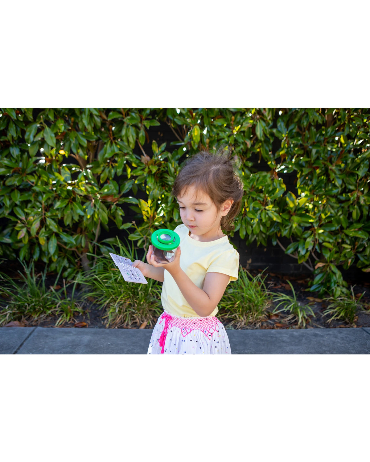 Insect Spotter Bug Spotter Kit – Kidstuff