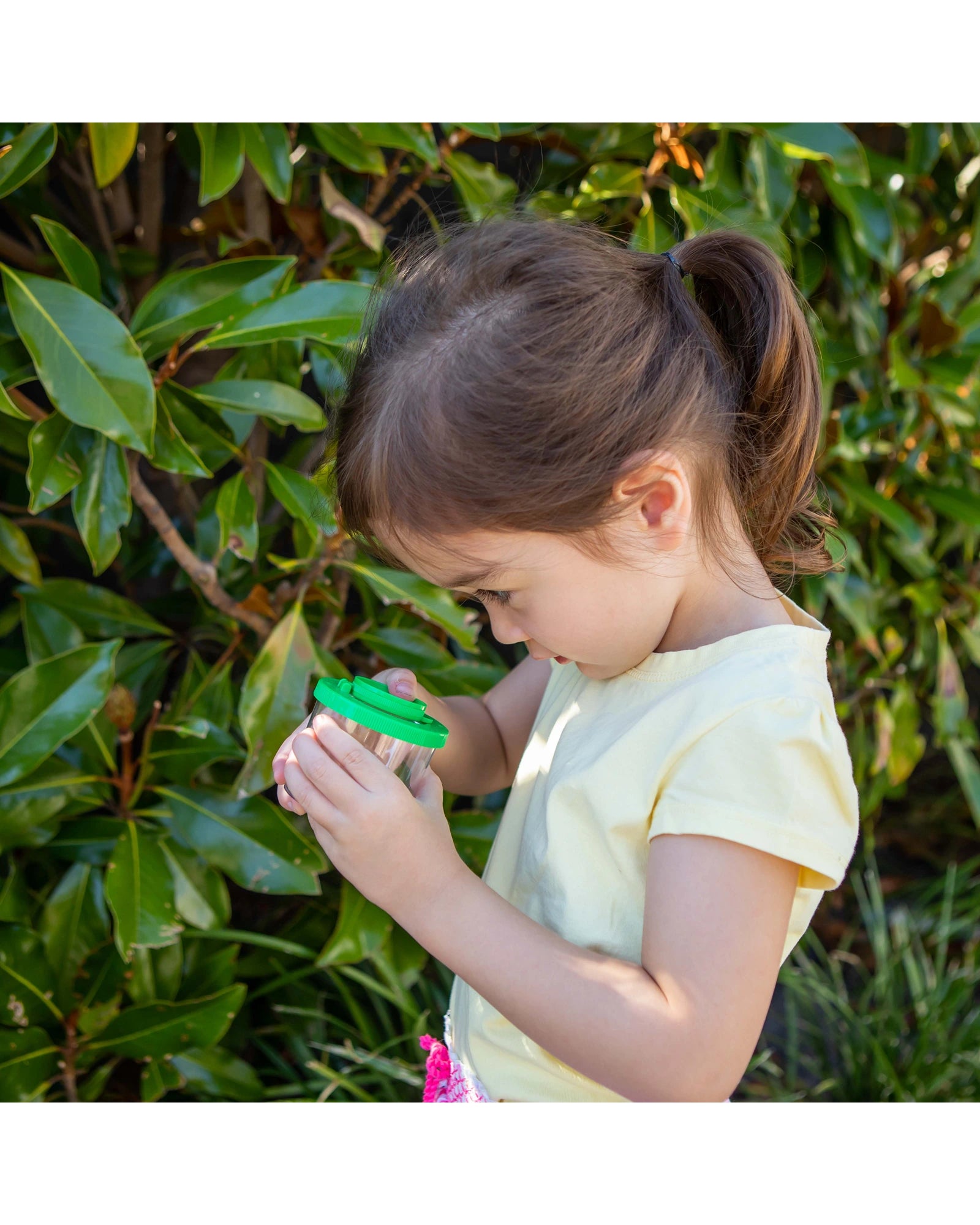 Insect Spotter Bug Spotter Kit – Kidstuff