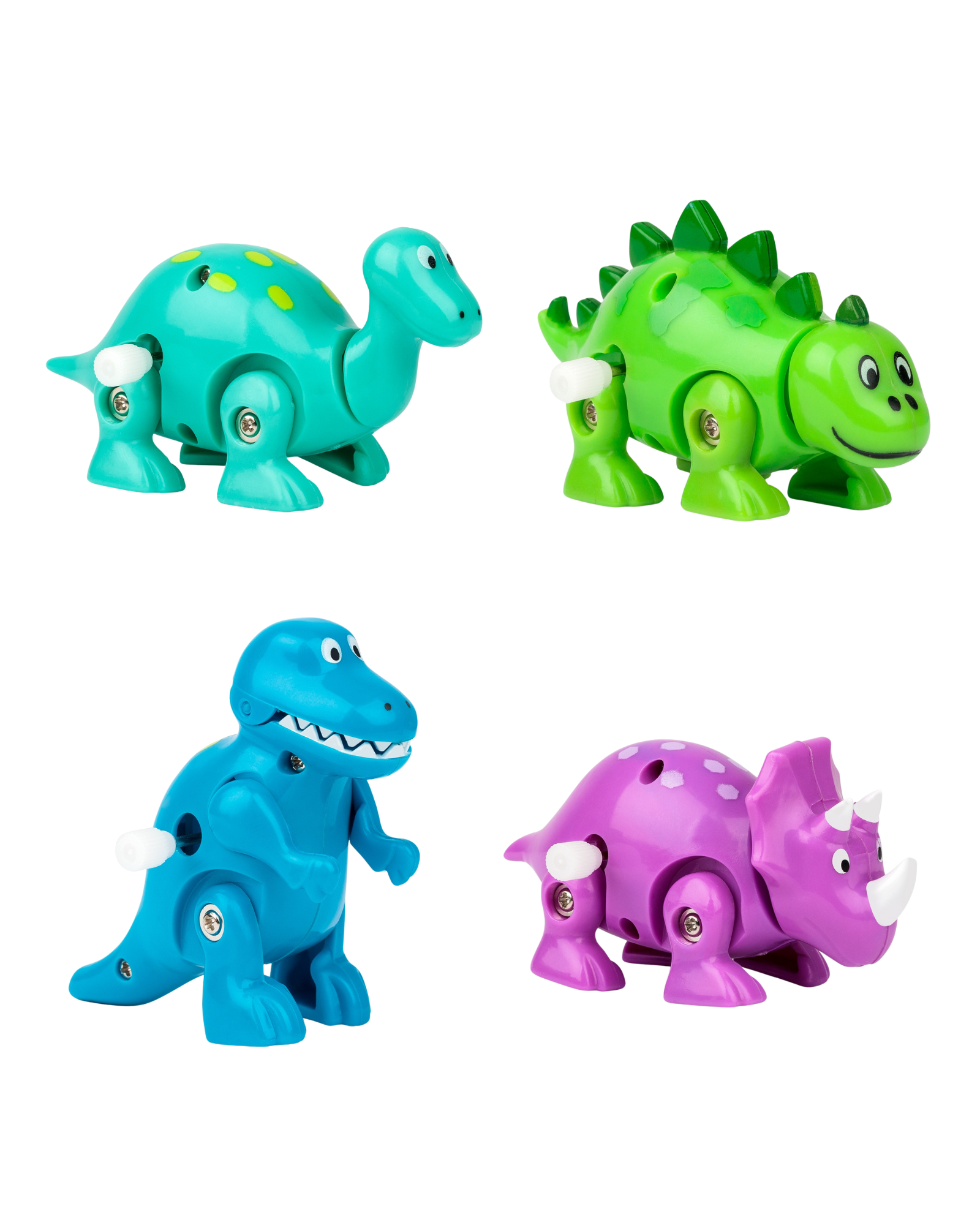 Fizz Fun Dinosaur Wind Up - Assorted