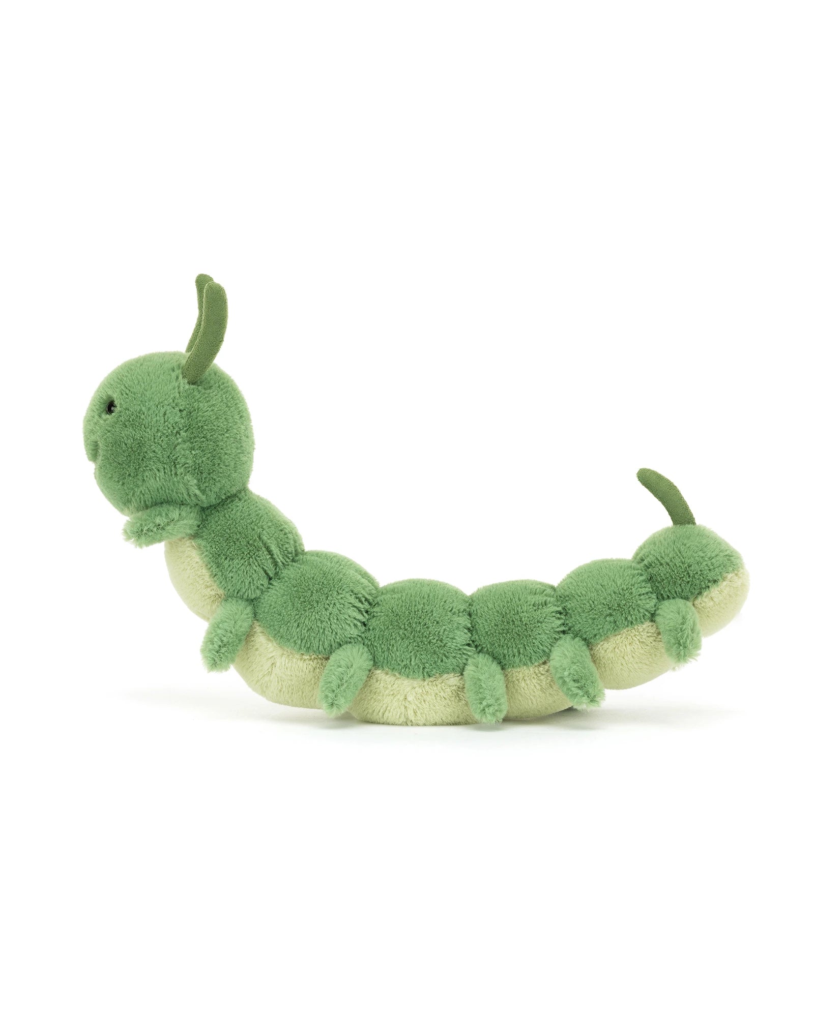 Carys Caterpillar